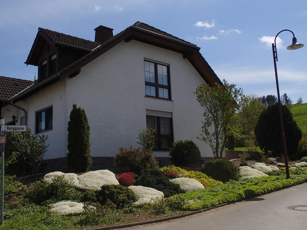 Ferienwohnung Meisenthal Naehe Nuerburgring Kelberg Δωμάτιο φωτογραφία
