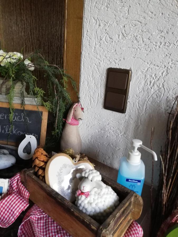 Ferienwohnung Meisenthal Naehe Nuerburgring Kelberg Εξωτερικό φωτογραφία